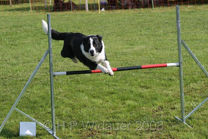 jubil.lusten. 092.jpg